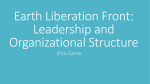 Earth Liberation Front Leadership and Organizational Structure