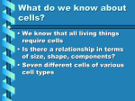 All Cells are Alive