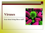 Viruses - I Heart Science