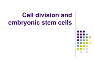 Cell division and the process to therapeutic vs reproductive cloning