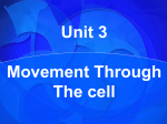 Movement Through The cell New Notes