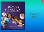 Human Genetics - Chapter 2
