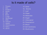 Cell Structure and Functions