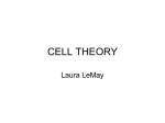 Cell Theory and Rap