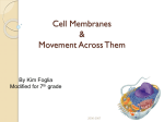 Cell Membrane and Osmosis