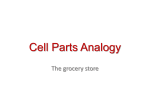 Cell Parts Analogy - NylandBiology2012-2013