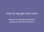 Cell Growth and Cell Division Powerpoint