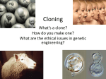 Cloning - OG