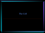 The Cell - Angelfire