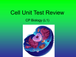 Cell Unit Test Review PowerPoint