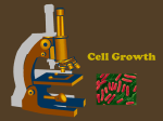 Biology I 1/5/07 Cell Division & Chromosomes