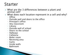 Just Cell Organelles