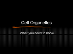 Cell Organelles - Cloudfront.net