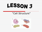 “Cell Structure” Pages 41 – 45