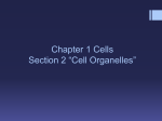 What are cell parts and their functions?