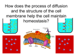 How does the process of diffusion and the structure of the cell