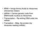 Cell-testRvwPPT_Answers to Questions