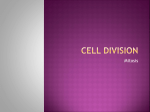 Cell Division