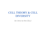 Cell Theory