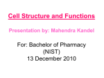 Chapters 4 and 5 Cell Structures, Functions and Transport