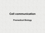 Cell communication Premedical Biology