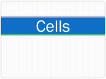 Cells - Kent