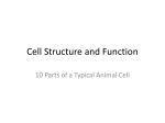 Cell Structure and Function