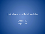 Unicellular and Multicellular
