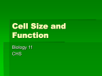 Cell Size and Function