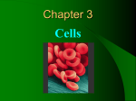 Ch. 3 Cells