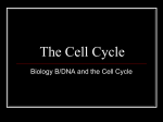 The Cell Cycle (2009).