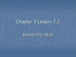 Chapter 3 Lesson 3.2