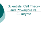 Scientists, Cell Theory and Prokaryote vs. Eukaryote