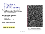 3-CellStructure