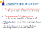 Cell Injury - kau.edu.sa