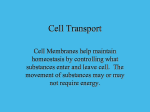 Cell Transport - Teacher Pages