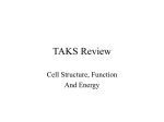 TAKS Review - SchoolNotes