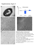 Supplementary Figure 4