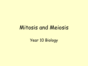 Mitosis and Meiosis