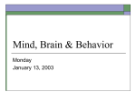 Mind, Brain & Behavior