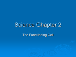 Science Chapter 2