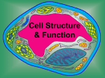 1. Cell_structure_function Chapter 2