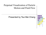 Perpetual Visualization of Particle Motion and