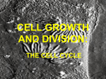 CELL GROWTH AND DIVISION: