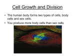 Cell Cycle and Division