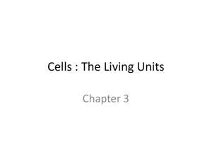 Cells : The Living Units