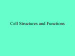 Cell Structures and Functions