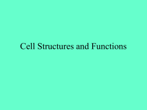 Cell Structures and Functions