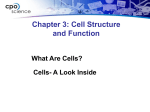 7.1 What are cells?