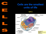 cells ch 3 - Liberty Union High School District